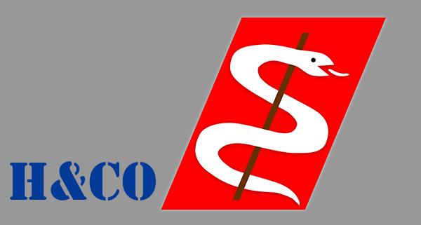 Logo von Hüsemann & Co. Finanzdienstleistungsgesellschaft mbH